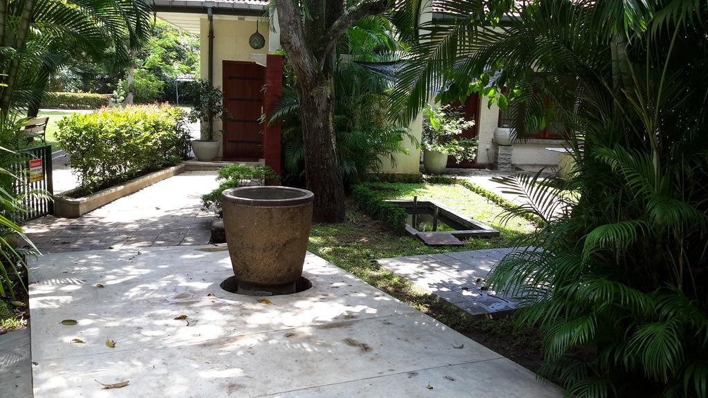 Lodge 19 Negombo Exterior photo